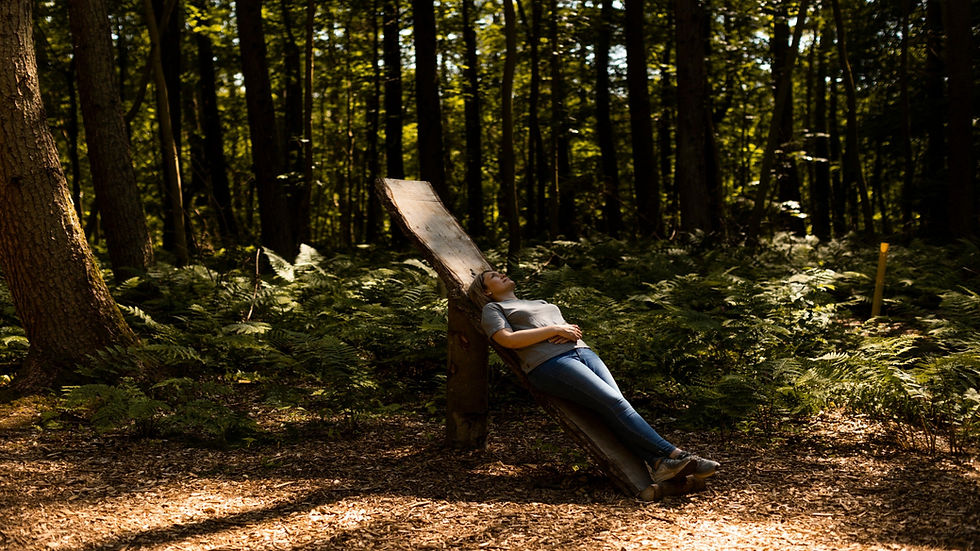 Japanese Forest Bathing with a guide