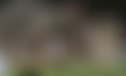 Gormandale Tigers to reset in 2021 North Gippsland Football-Netball League season