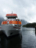 Milford Sound Cruise with Go Orange
