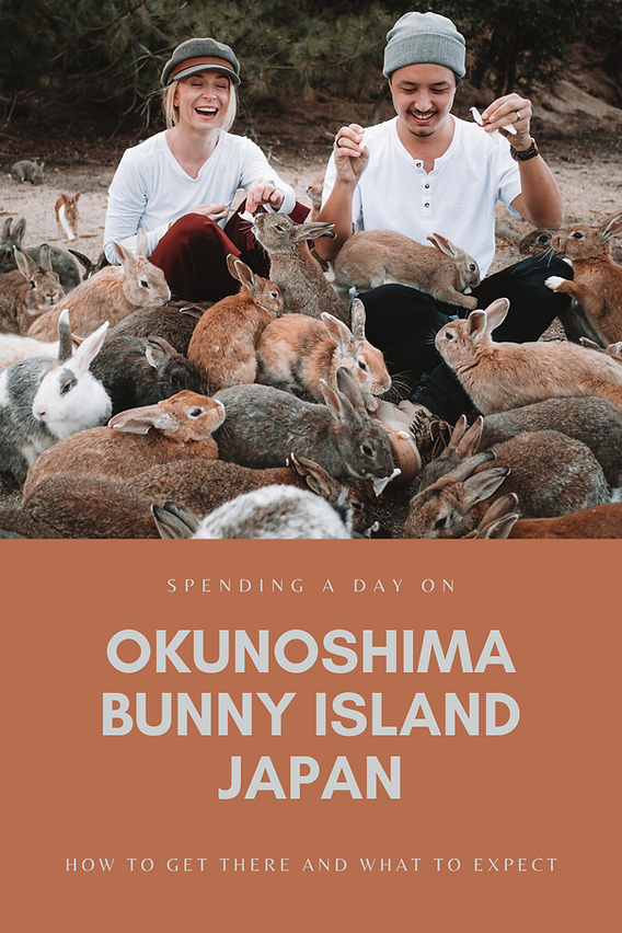 Spending a day on Okunoshima bunny island Japan, how to get there