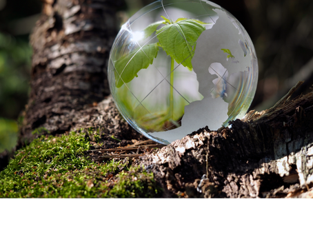 Empowering Environmental Justice Through Real-Time Monitoring with Sensorbee