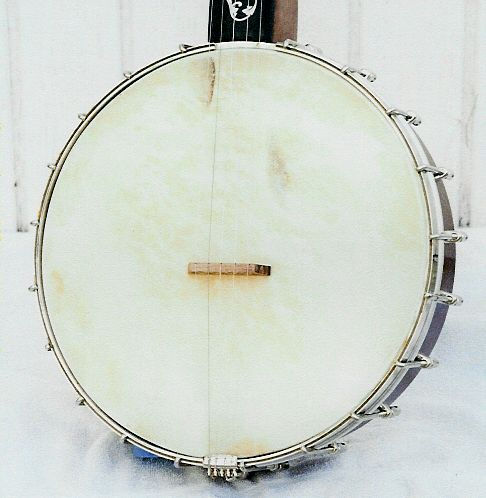 Double Pearl Vine pot front