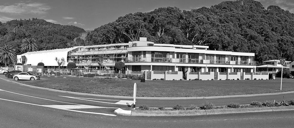 Beachpoint IMG_1580 cropped(grey).jpg
