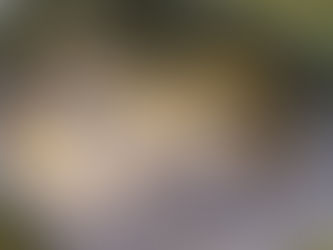 2018 Catfish challenge