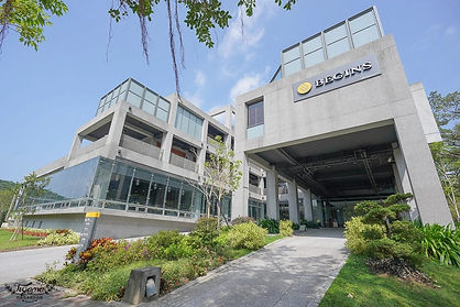 WhatsApp Image 2022-11-01 at 4.14.47 PM.jpeg