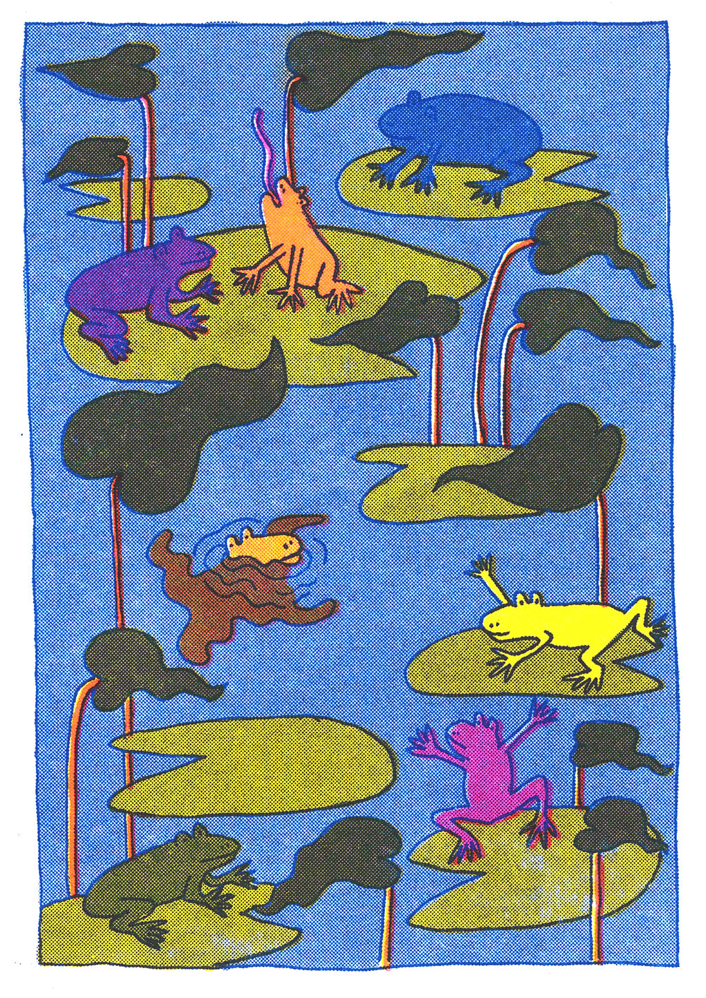 frogs