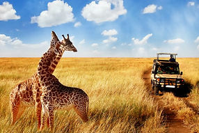 The-Cost-of-a-Tanzania-Safarisss-750x450-1.jpg