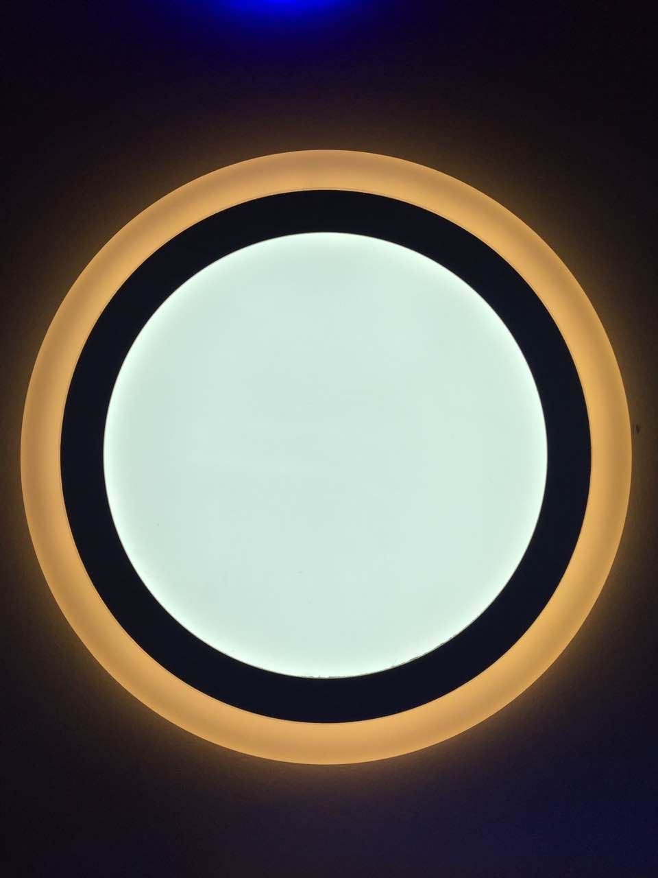 825352444