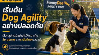 หญิงฝึกสุนัขนั่งในสนาม Dog Agility กับอุโมงค์และอุปสรรค ที่ FunnyDee Agility Park