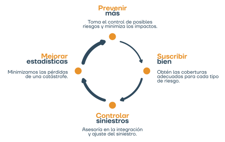 diagrama (ff).png