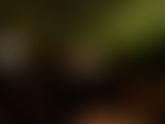 August 2019 | Half Year Drinks