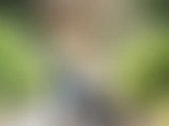 Spring 2025 Engagement Ring Trends 