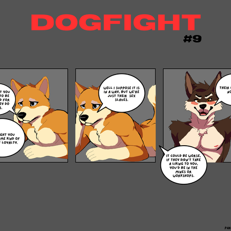 Dogfight 9