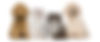 dreamstime_xxl_41268955_edited.jpg