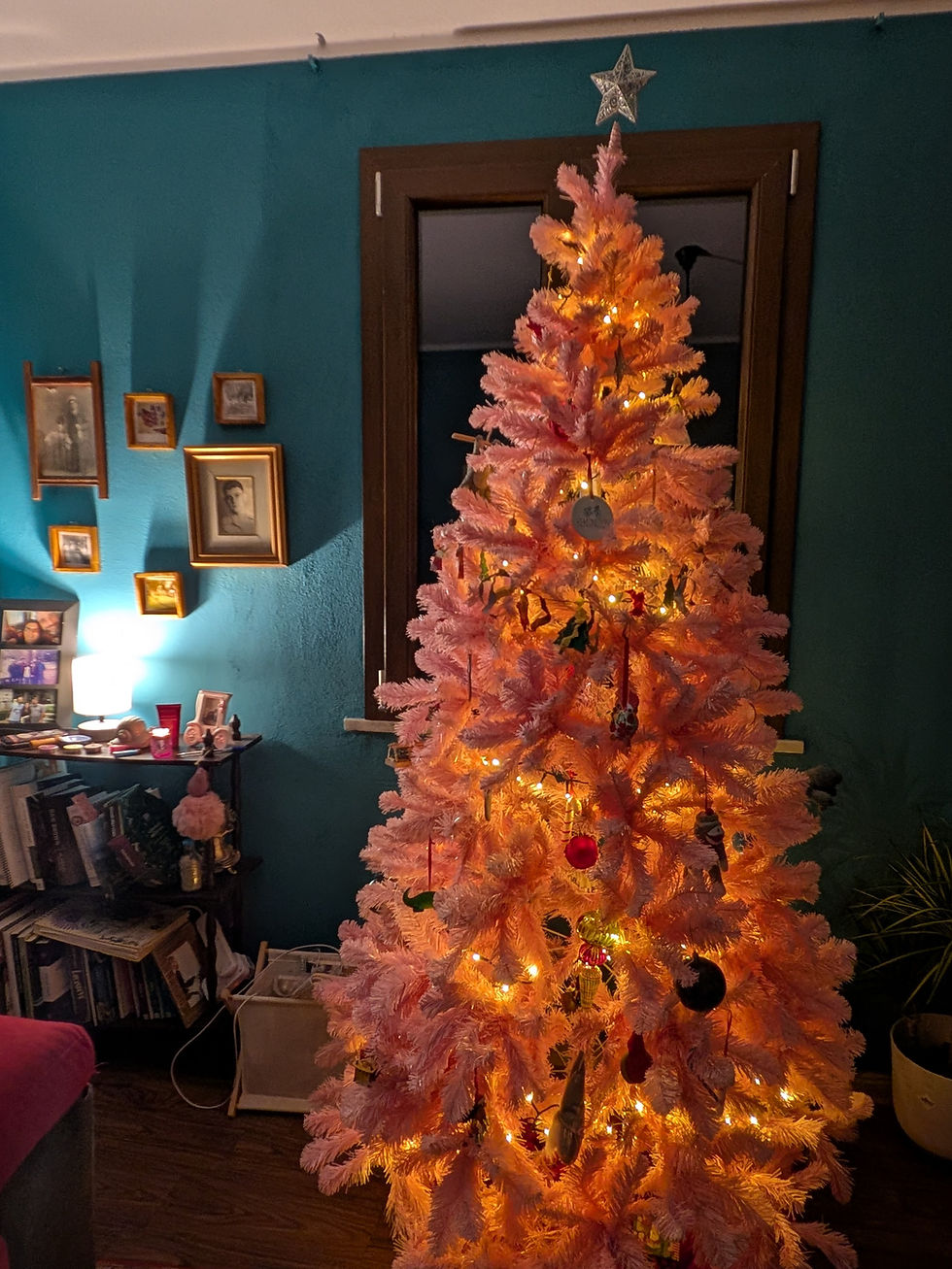 What Christmas in Calabria Looks Like