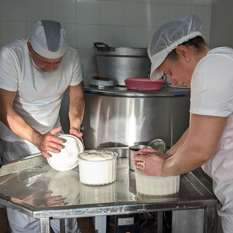Calabrian Kittens, Ricotta, and a Goat Named Su