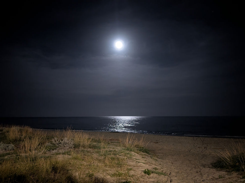 Moving to Italy This Year? 5 Questions to Ask Yourself