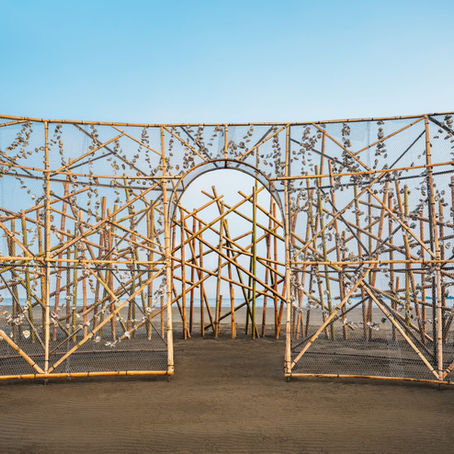 潮與巢  Tide and Nest