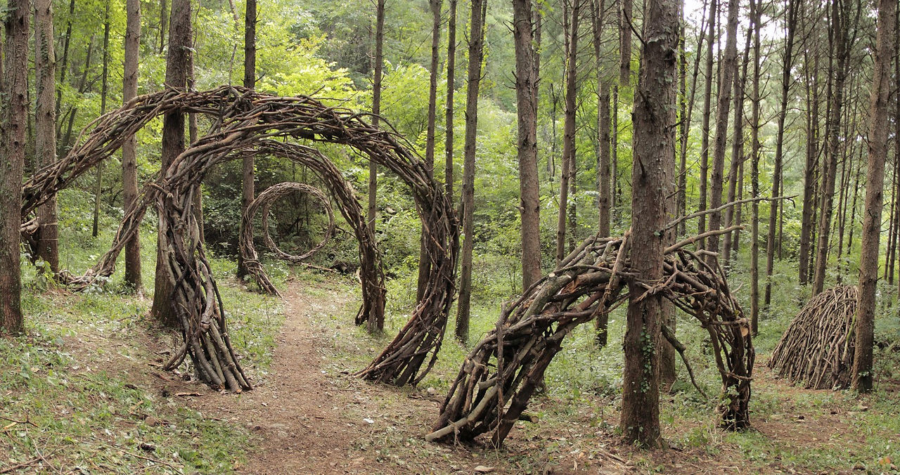 The Spiral 05