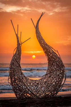 Luminescence of the Tidal Flame