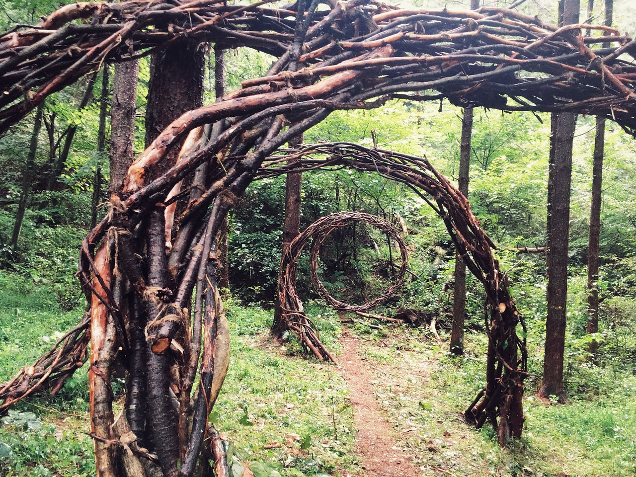 The Spiral 07