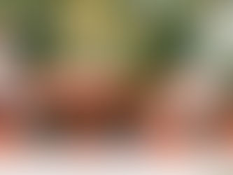 Their Doors are Open, but the Dining is Outside