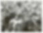 “The Derby, Britain’s premier flat-race classic, was won by the British-bred horse Grundy on Wednesday (4-6-75). Grundy, popular second-favourite at 5-1, thrashed the favourite, 6-4 French challenger Green Dancer, into sixth place.” Epsom Derby, 6/5/1975
