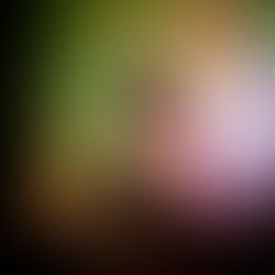 Mystery Novel Characters: Often Miscast for Films, TV