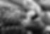 large-vecteezy_beautiful-girl-work-out-at-the-gym_16605177_large.jpg