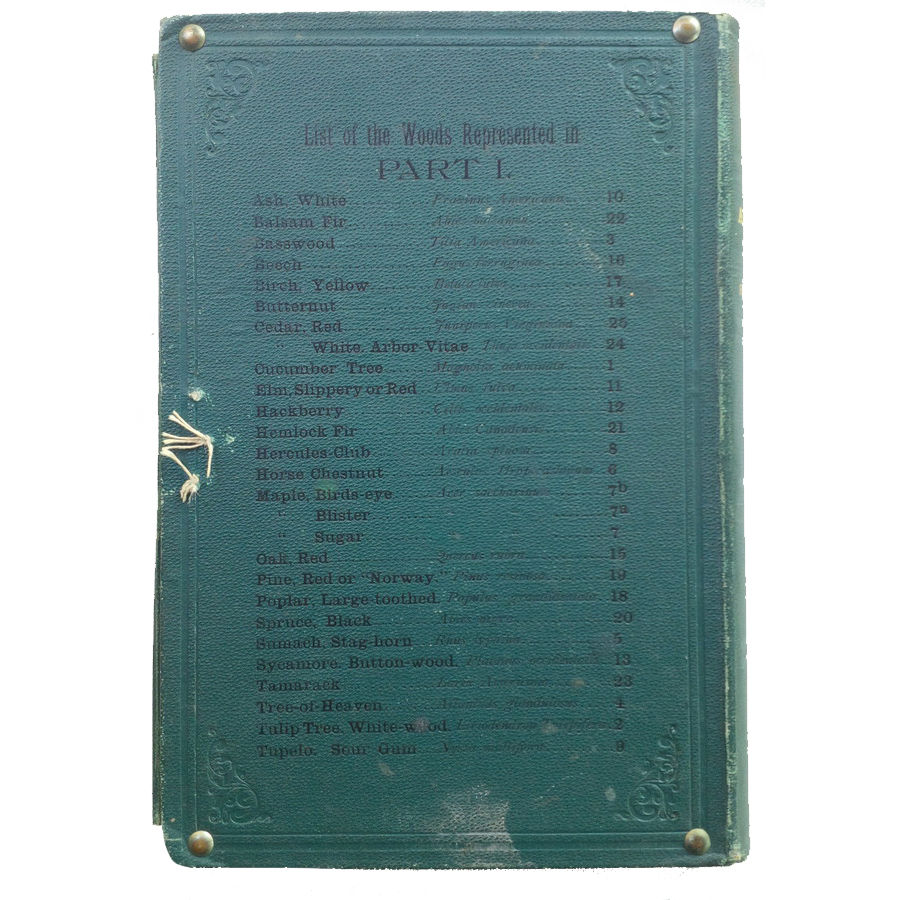 Thumbnail: The American Woods illustrated with real samples