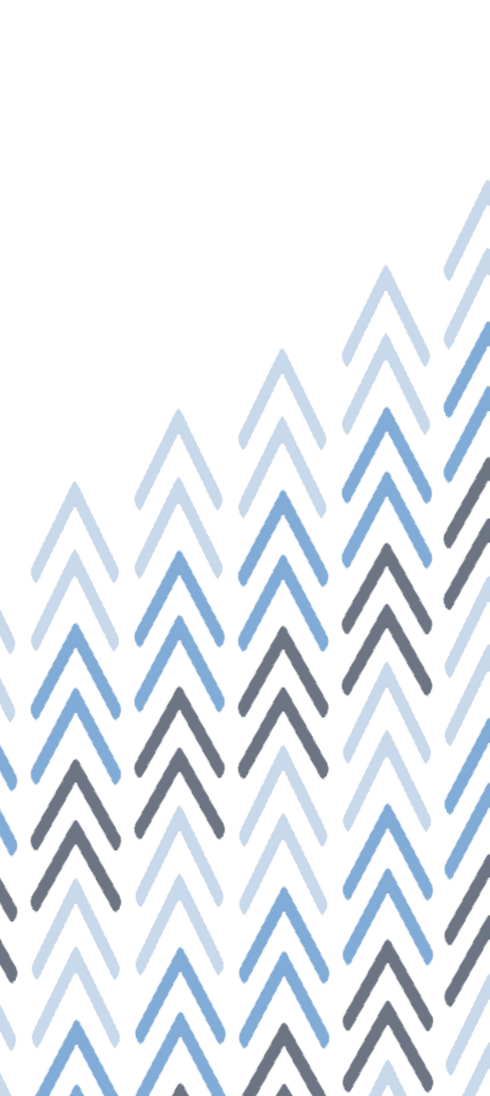NEW BG 1_edited.png