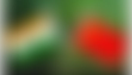 (News 18) Two Steps Forward, One Step Back: China’s Confused India Policy a Reason for LAC Standoff