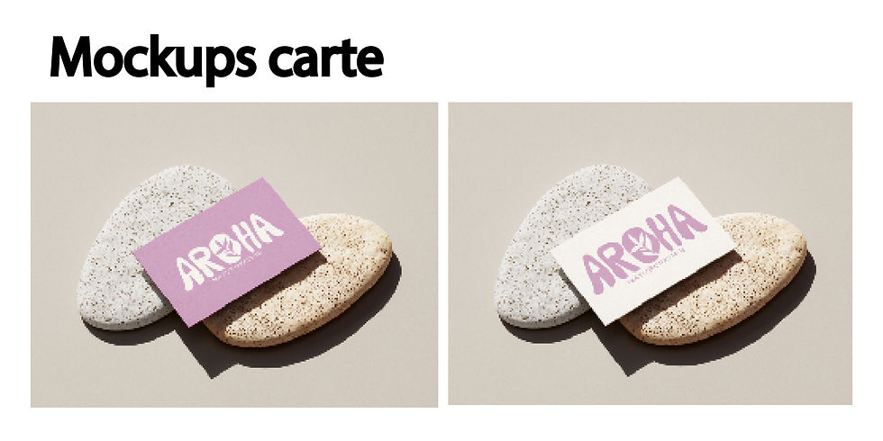 Charte graphique - Aroha - Final copie_page-0009.jpg