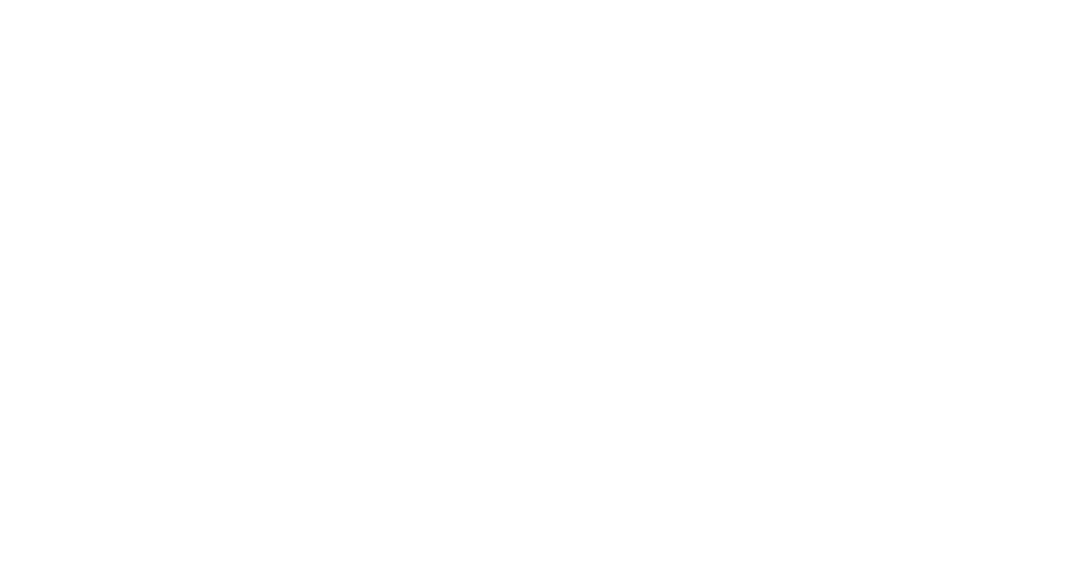 Logo icon - White.png