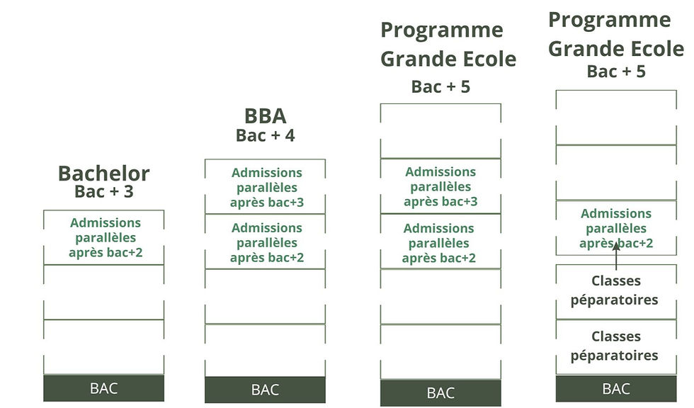 Les formations en école de commerce