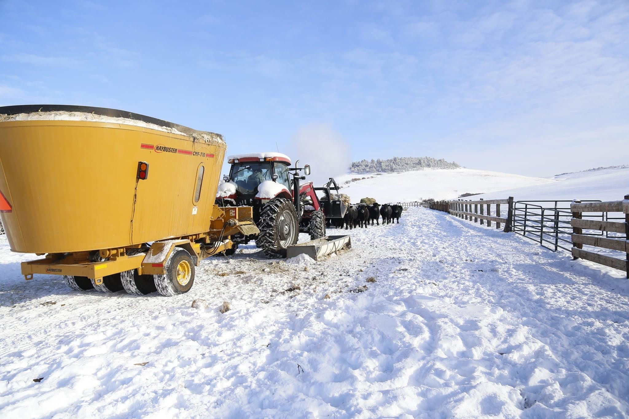 Christmas Sirloin Tip Roast