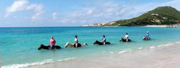 Horse Back Riding