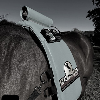 Second hand saddles-3_edited.jpg