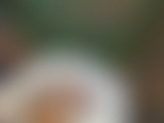 Chicken Coop - Egg farming