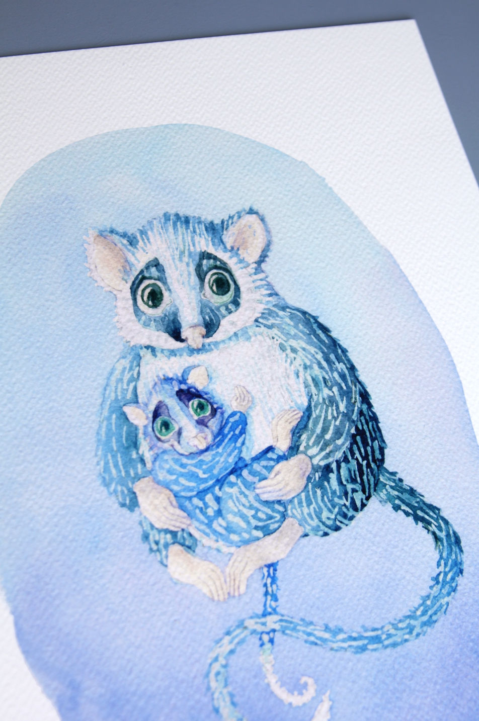 Thumbnail: Ringtail possums in blue - Giclée Art Prints