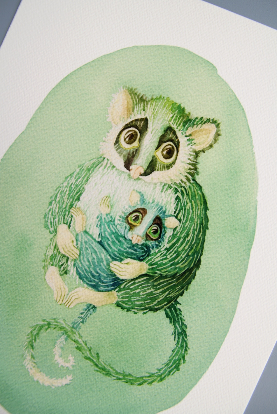 Thumbnail: Ringtail possums in green - Giclée Art Prints