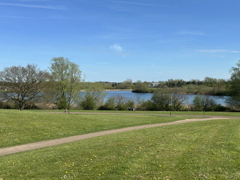 Green park with a path leading to a lake under a blue sky