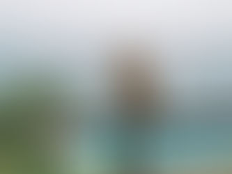 Découvrez pourquoi le singe est considéré comme sacré à Bali