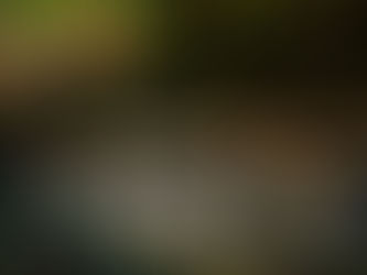 Découvrez les balian : les guérisseurs balinais