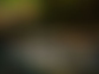 Découvrez les balian : les guérisseurs balinais