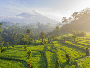 L’écotourisme à Bali : Voyager autrement au cœur de l’île des dieux
