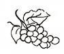 grapes.png