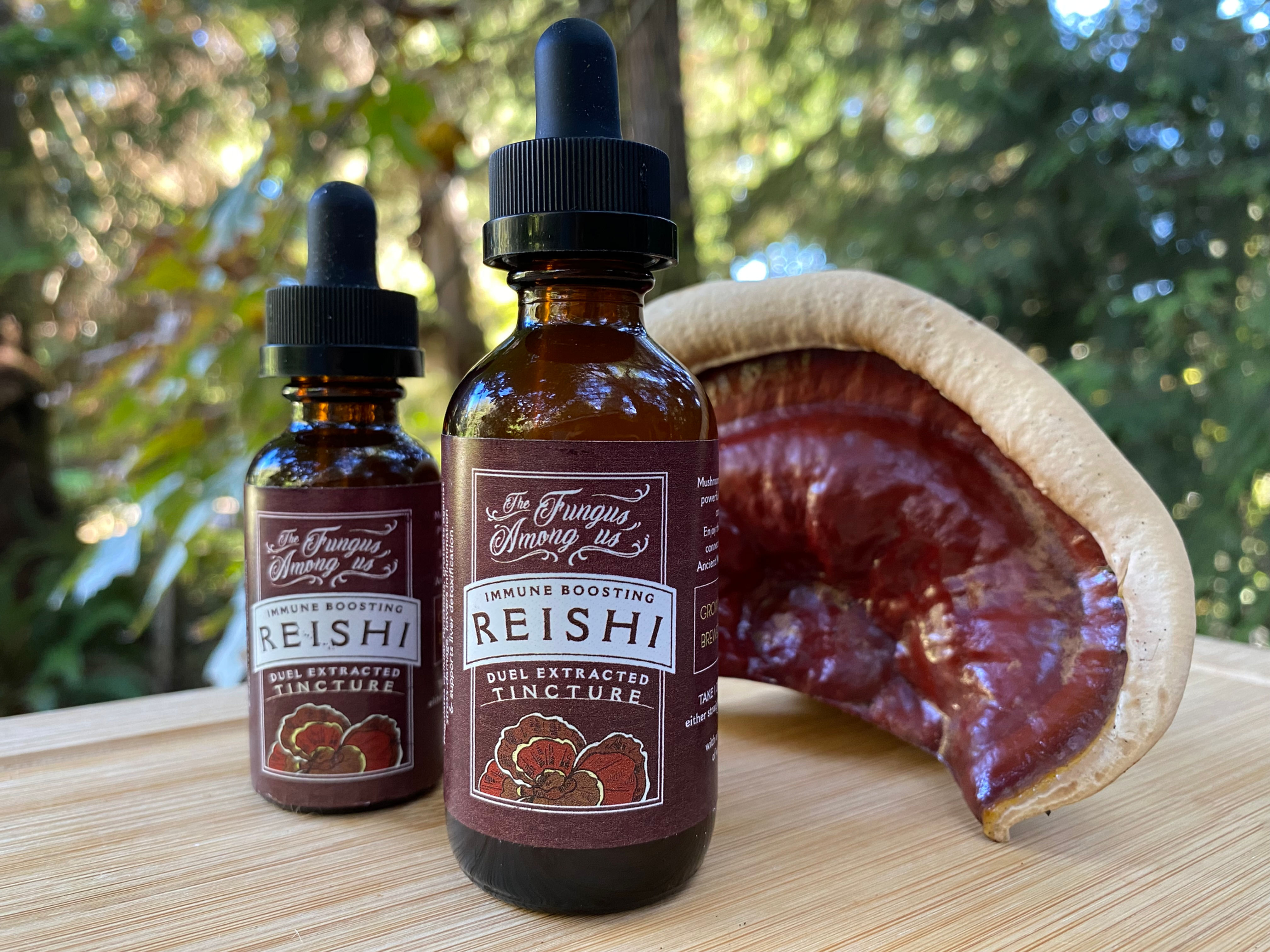 Reishi Extract Tincture