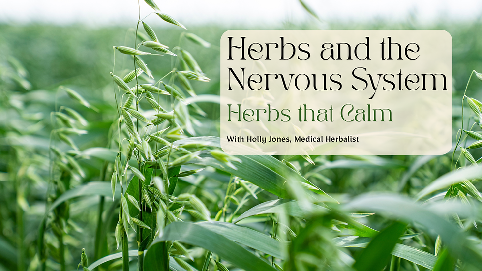 Herbs and the Nervous System: Finding the Right Plant Ally for Your Unique Nervous System