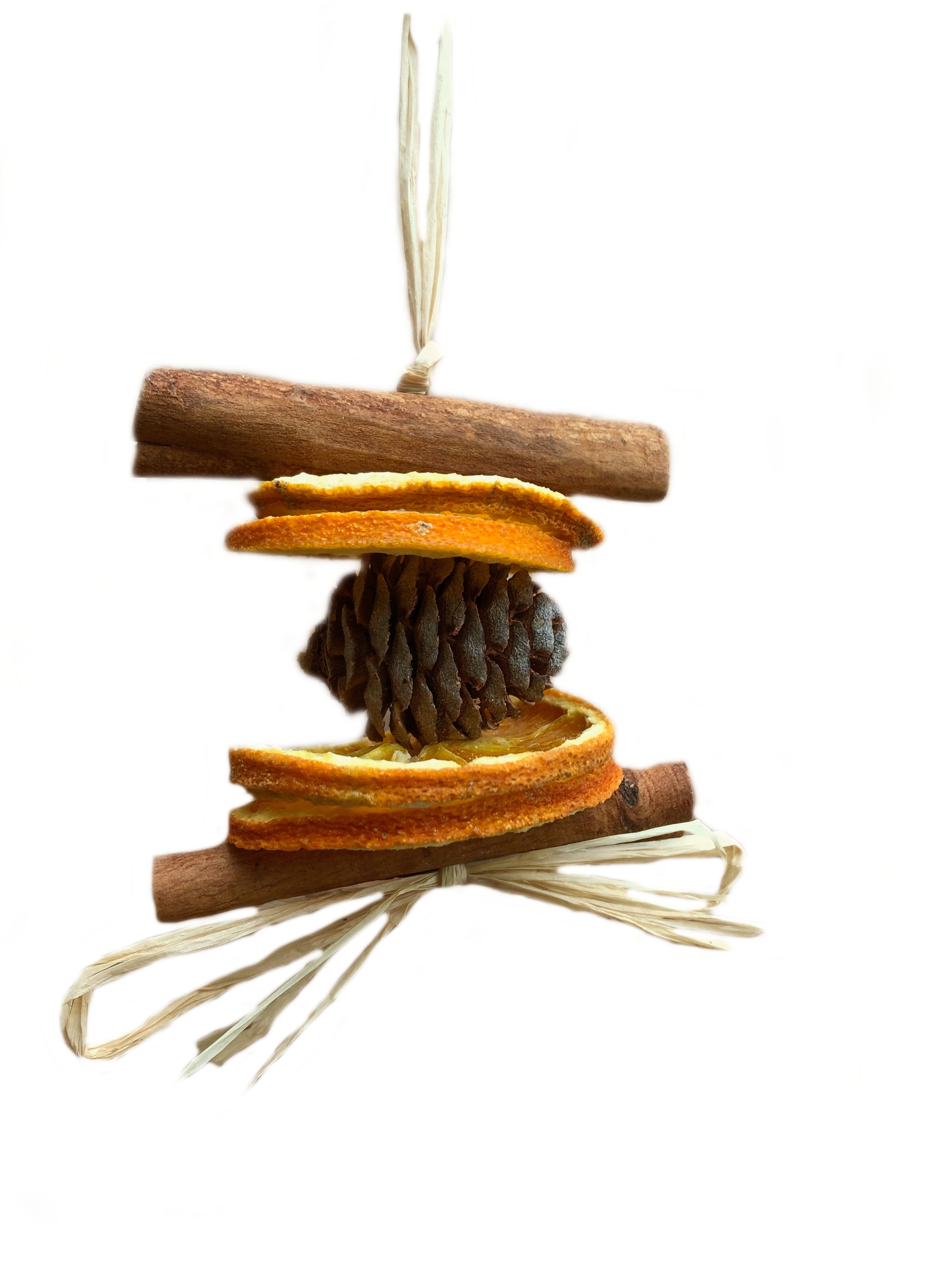 Murri Cone Tree Decoration with orange slices x 6